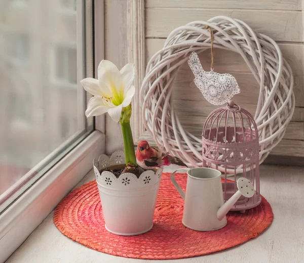 White Amaryllis Decorative Watering Can Cage Window — Stock Photo, Image