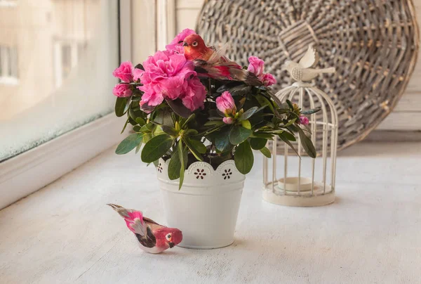 Pink Azaleas Decorative Birds Decorative Cage Window — Stock Photo, Image