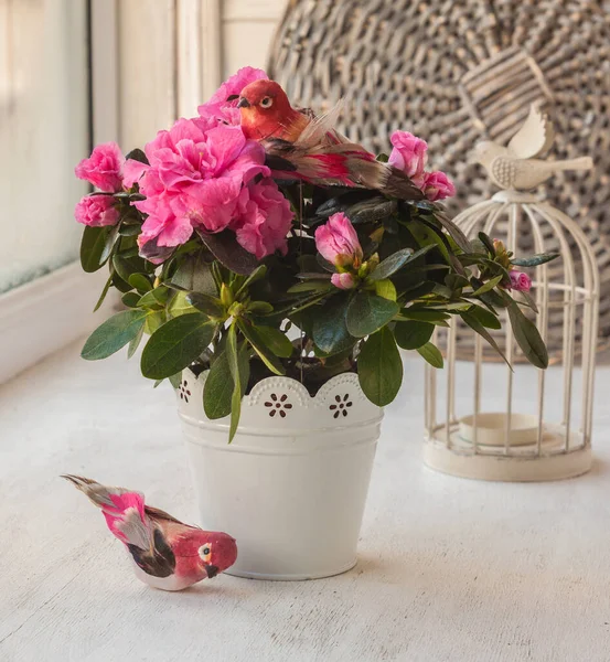 Azaleas Rosadas Pájaros Decorativos Jaula Decorativa Ventana — Foto de Stock