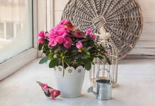 Pink Azaleas Decorative Birds Watering Can Window — Stock Photo, Image