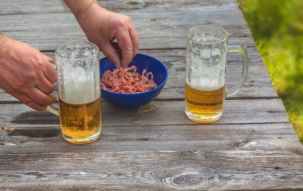 自然の中でイカとビールの試飲 — ストック写真