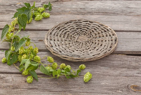 Hop Twig Old Wooden Table Background — Stock Photo, Image