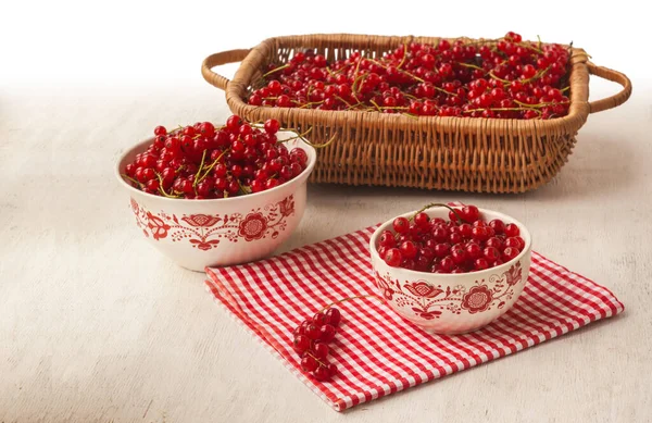Red Currant Bowls Table Cooking Jam — Stock Photo, Image