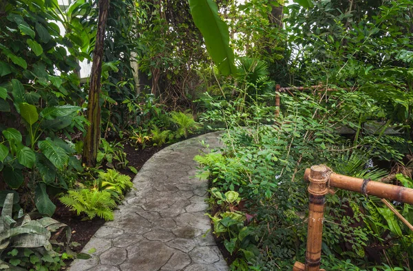 Exotische Tropische Planten Het Kas Complex — Stockfoto