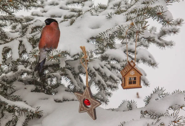 Snow Covered Spruce Bullfinch Retro Christmas Toy Mass Production — Stock Photo, Image