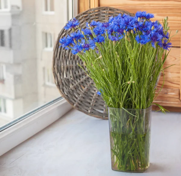 Strauß Blauer Kornblumen Fenster — Stockfoto