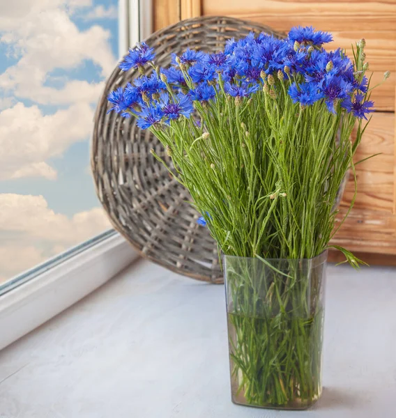 Μπουκέτο Μπλε Λουλούδια Καλαμποκιού Στο Παράθυρο — Φωτογραφία Αρχείου