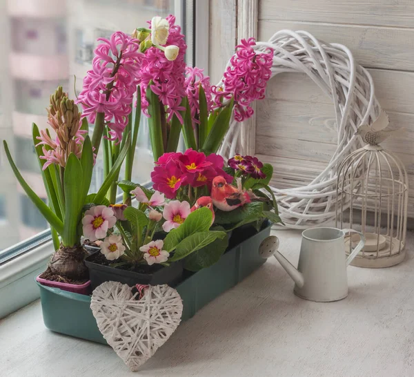 Burk Med Påskliljor Hyacint Och Primula Fönstret Bredvid Dekorativ Vattenkanna — Stockfoto