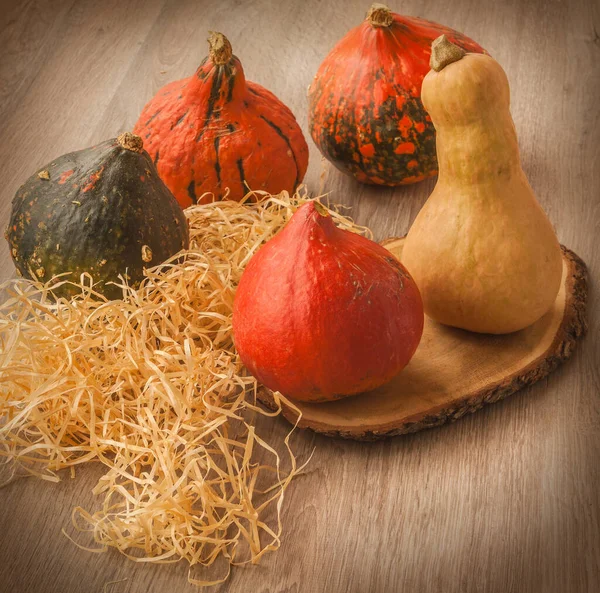 Cosecha Calabazas Sobre Fondo Madera — Foto de Stock