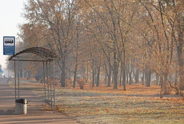 Autobusová Zastávka Blízkosti Parku Podzim Mlhavé Ráno Kyjevě — Stock fotografie