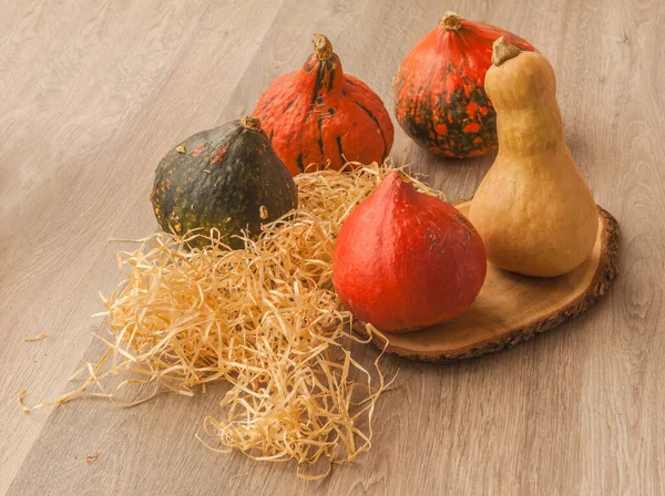 Cosecha Calabazas Sobre Fondo Madera — Foto de Stock