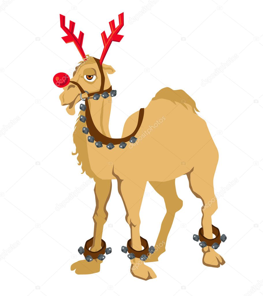 Cheerful camel in a deer costume from a Santa Claus harness on a white background isolated