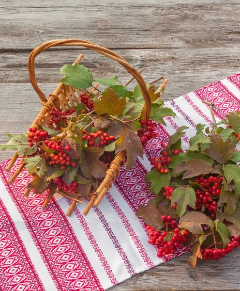 Viburnum Vinobraní Dřevěné Pozadí — Stock fotografie