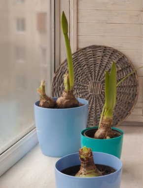 Arka planda örülmüş çemberin camında üç mavi kap.