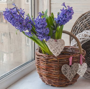 Kırsal hasır sepetinde mavi sümbüller ve camlarında kalpler.