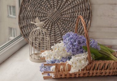 Dekoratif bir kafesin arka planında beyaz ve mavi sümbüller..