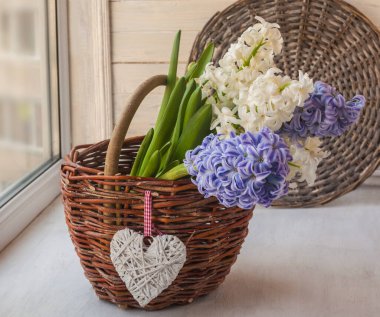 Pencerede beyaz ve mavi sümbüller