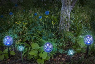Round lanterns on solar batteries and Allium inflorescence in garden design clipart
