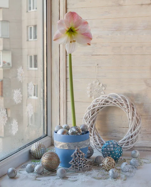 Fenêtre Avec Hippeastrum Décorée Pour Les Vacances Hiver — Photo