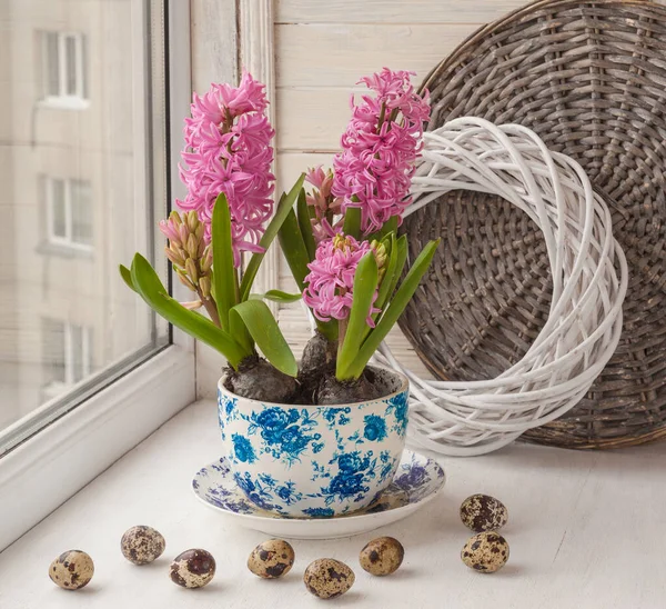 Drie Prachtige Roze Hyacint Een Pot Met Een Vintage Patroon — Stockfoto