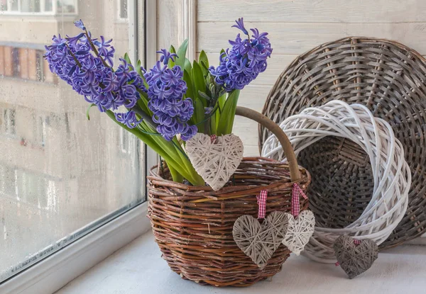 Blaue Hyazinthen Ländlichen Weidenkorb Mit Herzen Fenster — Stockfoto