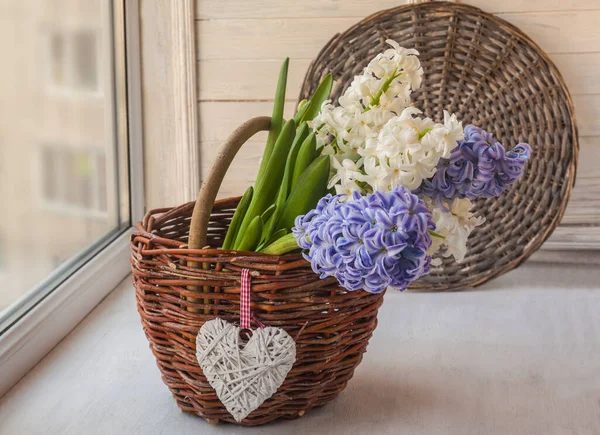 Weiße Und Blaue Hyazinthen Einem Korb Fenster — Stockfoto