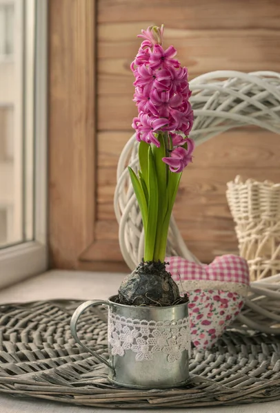 Růžová Hyacinta Železném Šálku Ozdobných Srdcí Okně — Stock fotografie