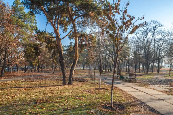 Bench Een Verlaten Park Herfst Mistige Morgen Doordeweeks — Stockfoto