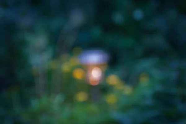 Blurred Night Background Lantern Background Foliage — Stock Photo, Image