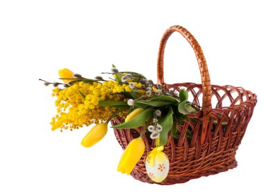 Mimosa, söğüt dalları, laleler ve Paskalya yumurtası beyaz arka planda bir sepette izole edilmiş.