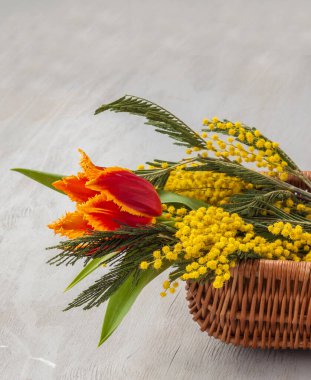 Mimoza buketi ve lale sepetinde gri bir arka planda.