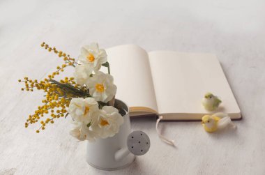 Dekoratif bir sulama kutusunda açık bir not defterinin üzerinde temiz bir sayfayla duble beyaz nergis ve mimoza. Seçici odak