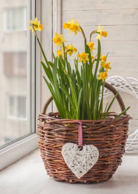 Kırsal sepetteki nergisler ve rüzgarda dekoratif bir kalp.