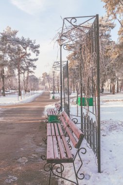 Karla kaplı bir parkta kışın soğuk geçtiği bir bank.