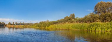 Polesie 'de küçük bir nehrin manzarası, kıyılar boyunca kamışlarla kaplıydı.