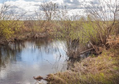 Teterev Nehri yakınlarındaki sel baskınından sonra çayırı sel bastı, Polesie
