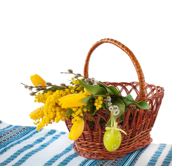 Mimosa Willow Twigs Tulips Basket White Background Isolated — Stock Photo, Image