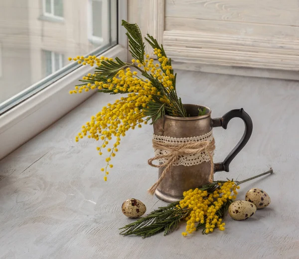 Mimosa Nella Pentola Uova Quaglia Una Finestra — Foto Stock