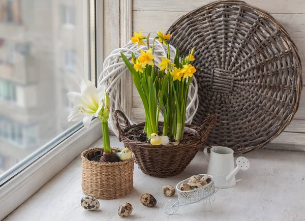 Osterfensterdekoration Mit Narzissen Amaryllis Wachteleiern Und Ziervögeln — Stockfoto