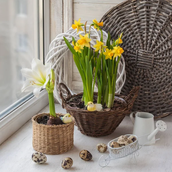 Osterfensterdekoration Mit Narzissen Amaryllis Wachteleiern Und Ziervögeln — Stockfoto