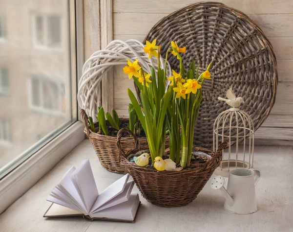 Narcisos Cestas Con Pájaros Decorativos Una Regadera Ventana — Foto de Stock