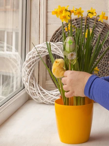 Female Hands Decorated Easter Pot Narcissuses Stickers Eggs Chicks Window — Stock Photo, Image