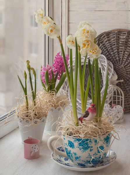 Double Jonquilles Jacinthes Dans Fenêtre Des Pots Avec Des Oiseaux — Photo