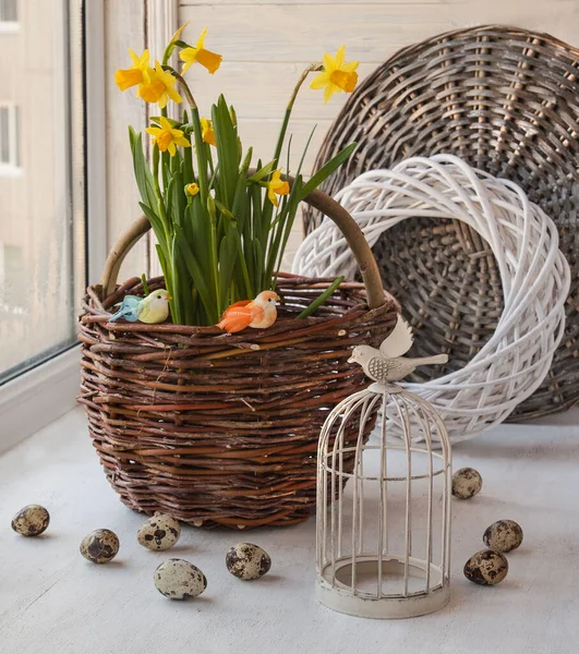 Gelbe Narzissen Neben Einem Dekorativen Käfig Osterfenster — Stockfoto