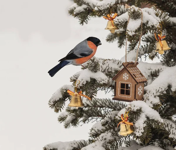Met Sneeuw Bedekte Kerstboom Met Kerstspeelgoed Bullfinch Massaproductie — Stockfoto