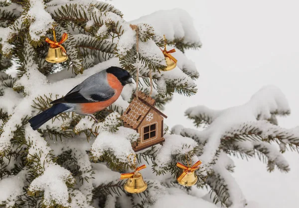 玩具屋和雪地覆盖的圣诞树上的铃铛 明信片的新年背景资料 — 图库照片