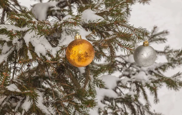 Duas Bolas Natal Num Abeto Coberto Neve Parque Produção Massa — Fotografia de Stock