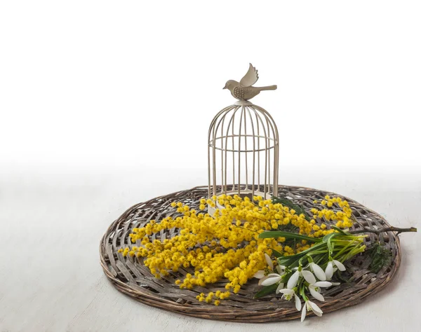 Bouquet Snowdrops Mimosa Wicker Circle Next Vintage Decorative Cage Bird — Stock Photo, Image