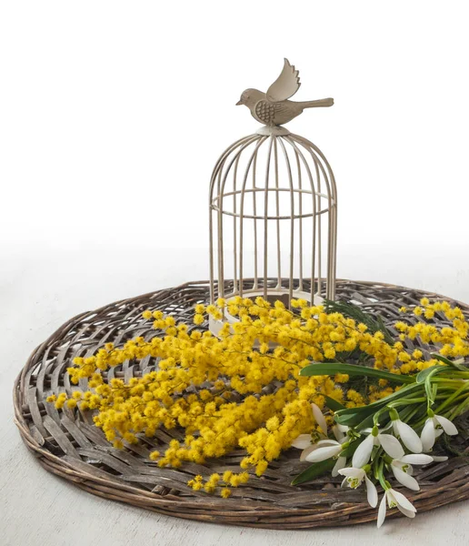 Bouquet Snowdrops Mimosa Wicker Circle Next Vintage Decorative Cage Bird — Stock Photo, Image