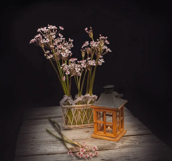 Boeket Van Butomus Naast Oude Lantaarn Houten Tafel — Stockfoto